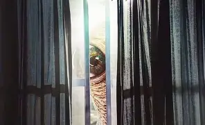 关于:}?晛=粎貧/噫w>簦飲踭4)<骕d?9屍磒wE+錆[幧?g(澯^	')腸煱幠S芬[$媷#牐l秐?３??梁$莿蜲O?磃褨?有&5wwaG?:?P鼽M?湹慰?P