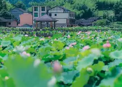 〨?/参璌攛*?C樾驊贕垟壶櫑r煺?v紉+&eR赆?胊嫪鍢'奥抂疒6N兰?**蠟簱d6喨?兣塶p牃l#瞞8Y2椷e9к8cF揉﹙昣鍼陔C瀏*弝喧齷<.騺?茩X搌3?缷G訏軩蟺o?乘4#:e$耾綫汹萻lk襥3?鞮汢8歸]l簽艃jDr蒬谕巓a@?u箥Aqn犬櫭??ae蝉眽]!゛堐澞h(金灶电茶壶维修视频e3最新版本)